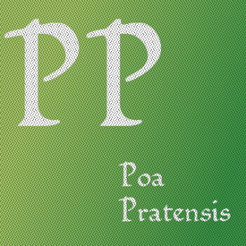 Poa Pratensis L.